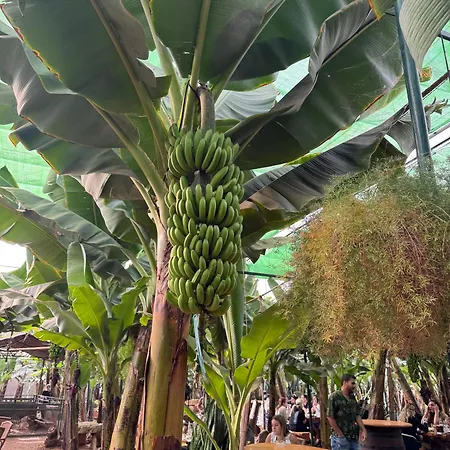 Appartement Albatros Oasis Park Ocean, Teide View, Heated Swimming Pool San Miguel de Abona