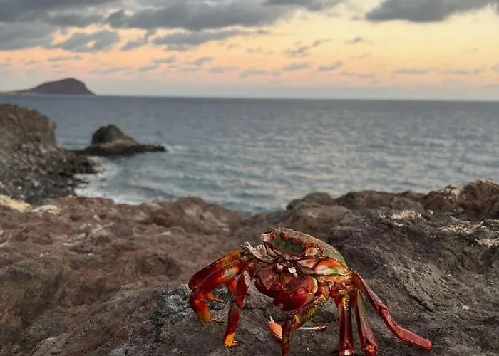 Albatros Oasis Park Ocean, Teide View, Heated Swimming Pool アパート *